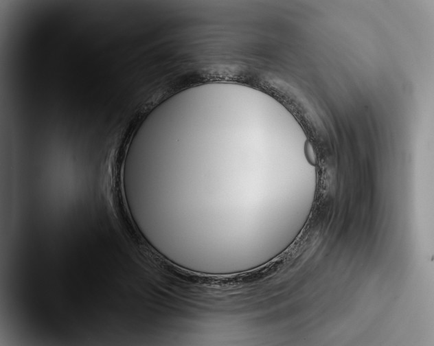 X0000088060498200705110916
