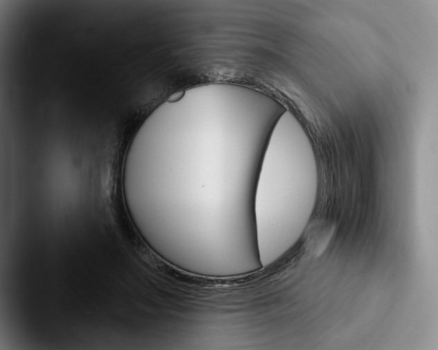 X0000088060499200705110916