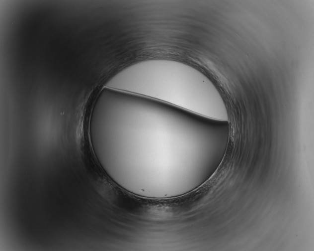 X0000088060500200705110916