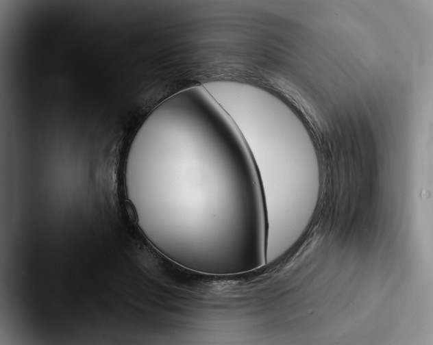 X0000088060501200705110916