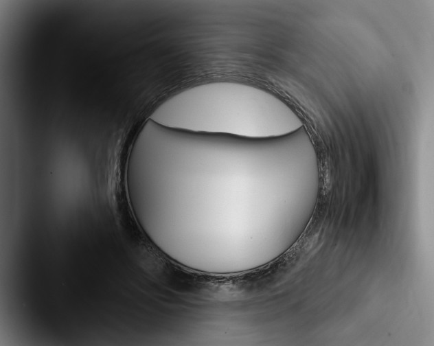 X0000088060502200705110916