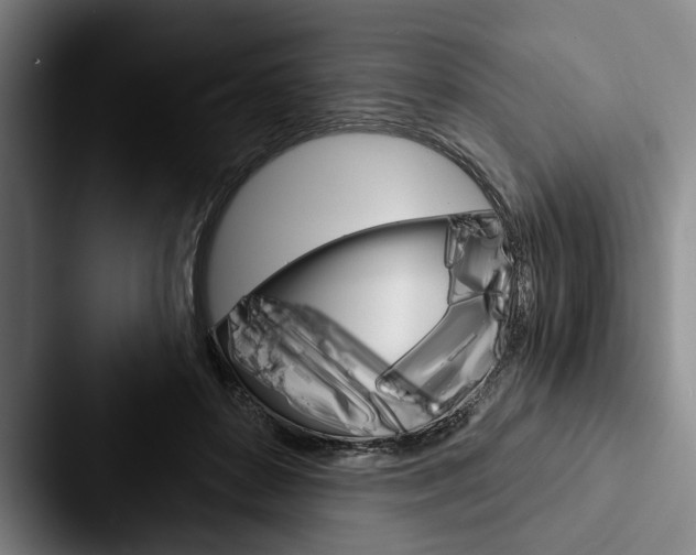 X0000088060504200705110916