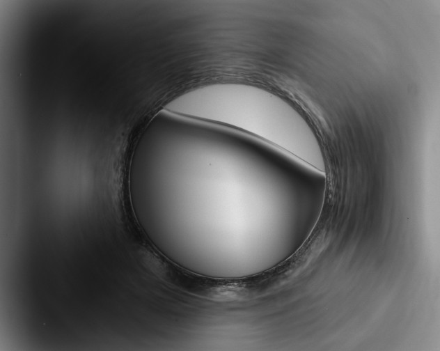 X0000088060505200705110916