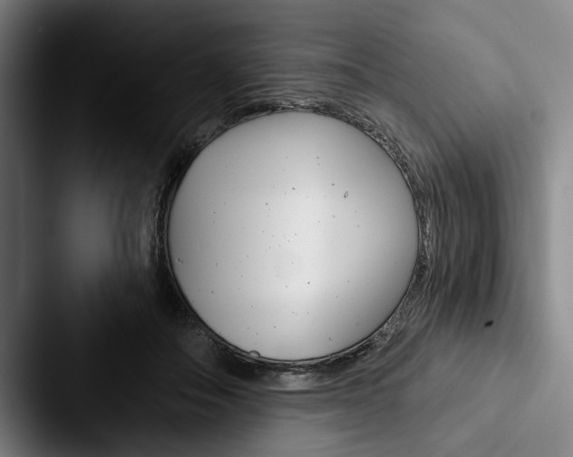 X0000088060506200705110916