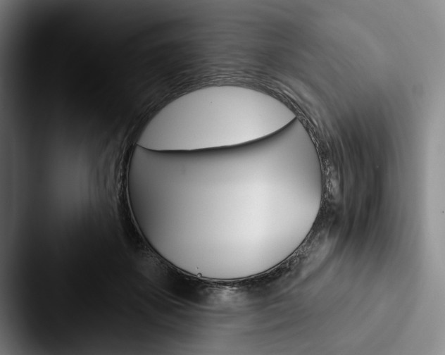 X0000088060507200705110916