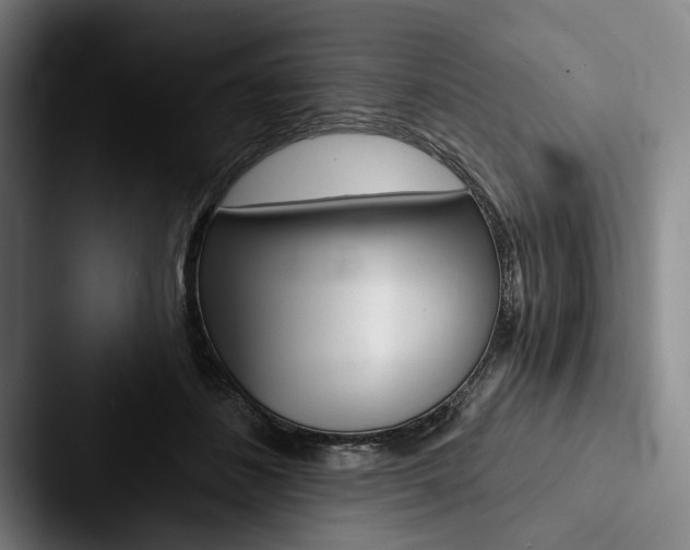X0000088060508200705110916