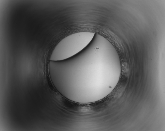 X0000088060510200705110916