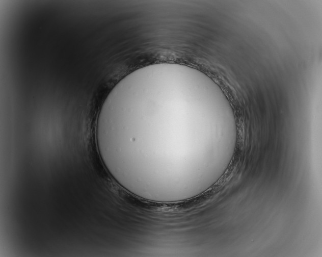 X0000088060511200705110916