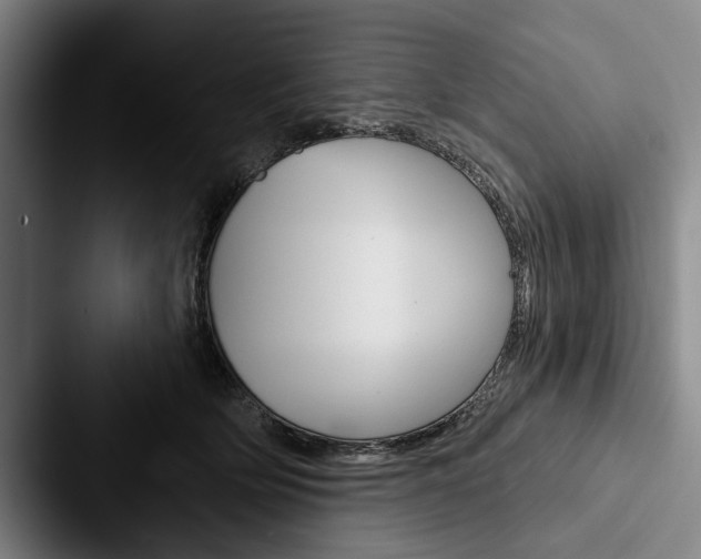 X0000088060514200705110916