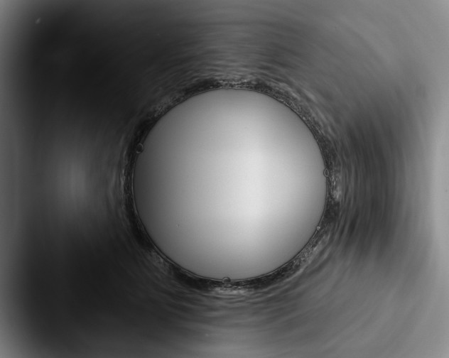 X0000088060515200705110916
