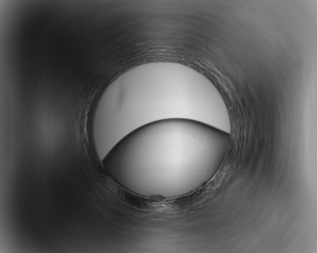 X0000088060516200705110916
