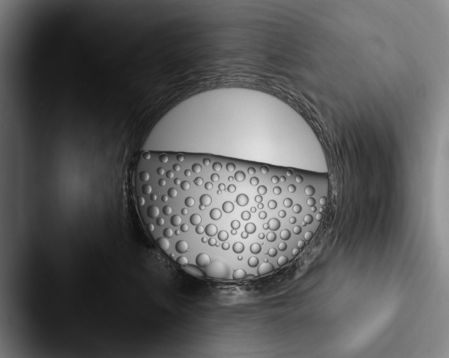 X0000088060519200705110916