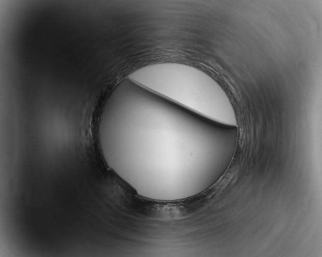 X0000088060520200705110916
