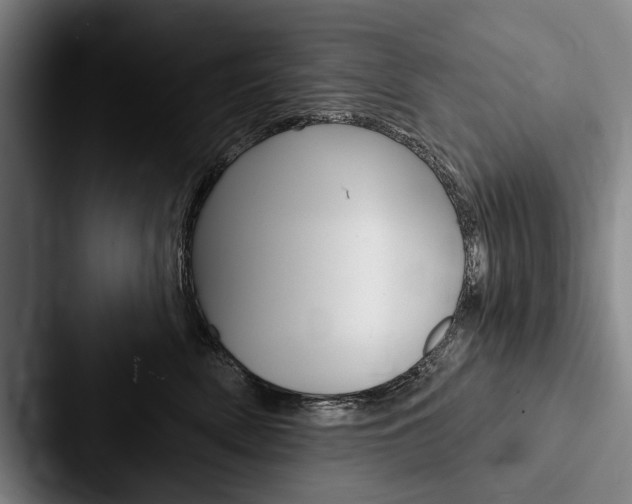 X0000088060522200705110916