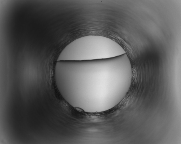 X0000088060523200705110916
