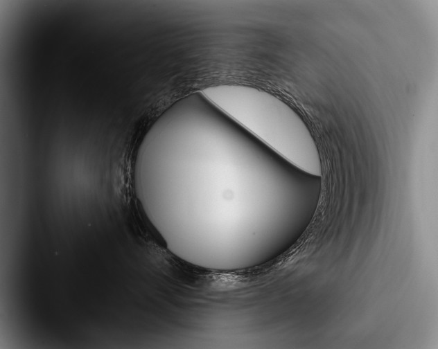 X0000088060528200705110916