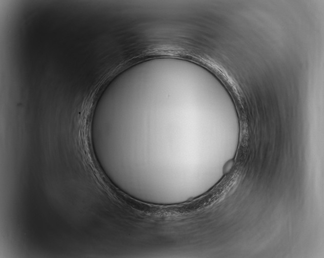 X0000088060529200705110915