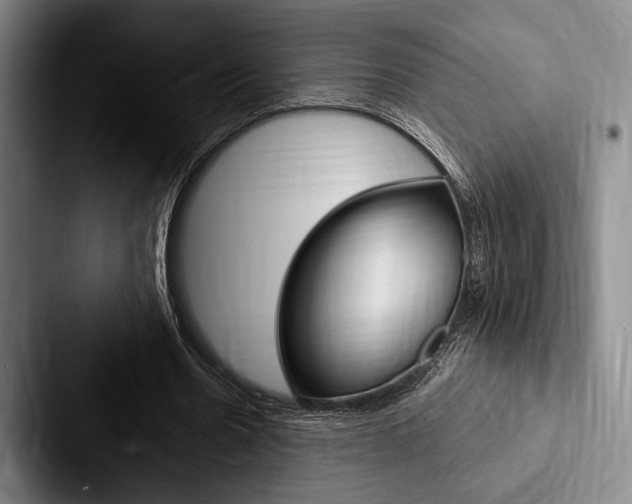 X0000088060530200705110915