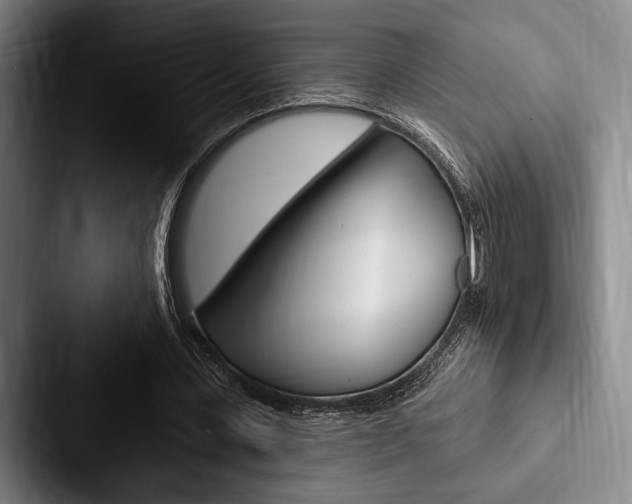 X0000088060531200705110915