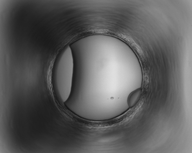X0000088060533200705110915