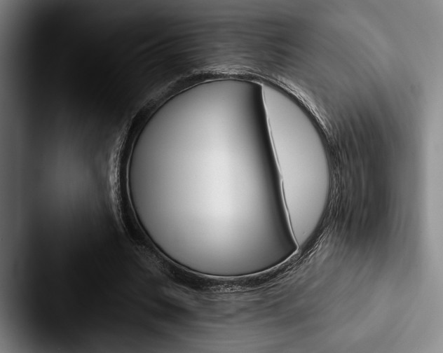 X0000088060535200705110915
