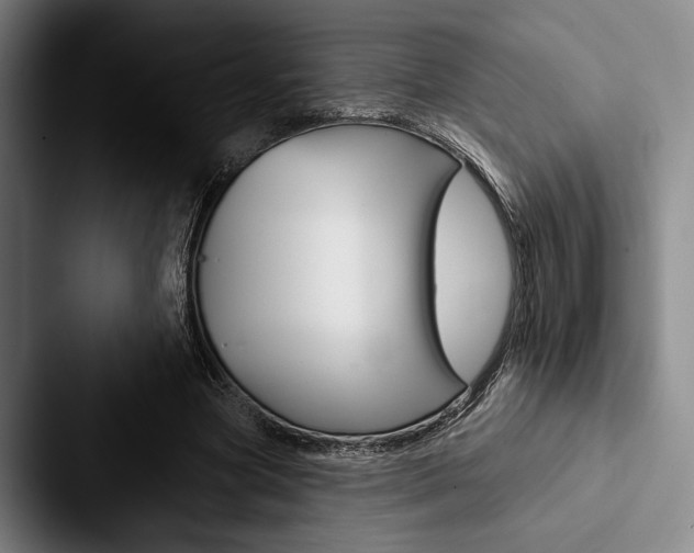 X0000088060537200705110915