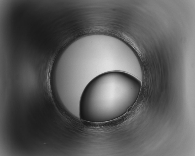 X0000088060538200705110915