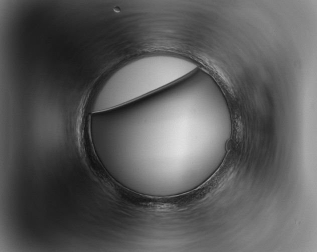 X0000088060539200705110915