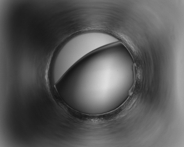 X0000088060540200705110915