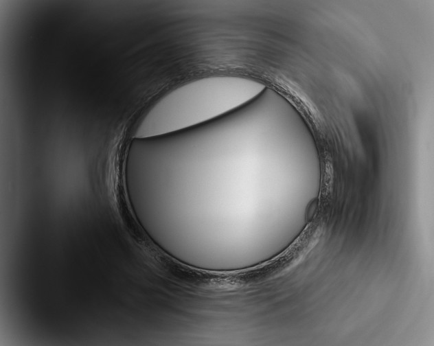 X0000088060541200705110915