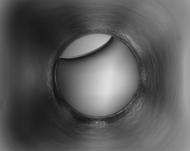 X0000088060543200705110916