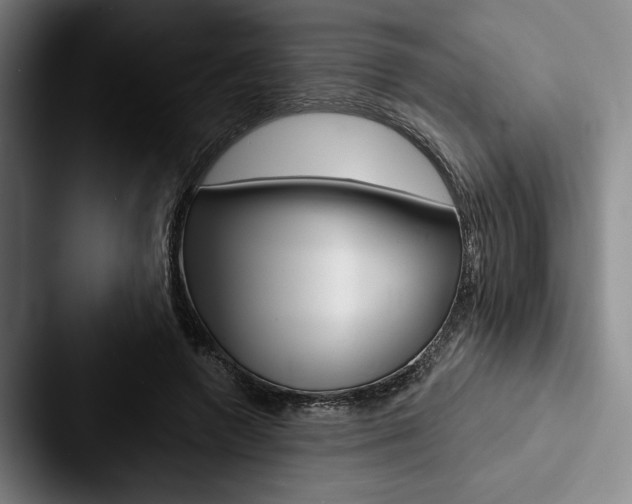 X0000088060546200705110916