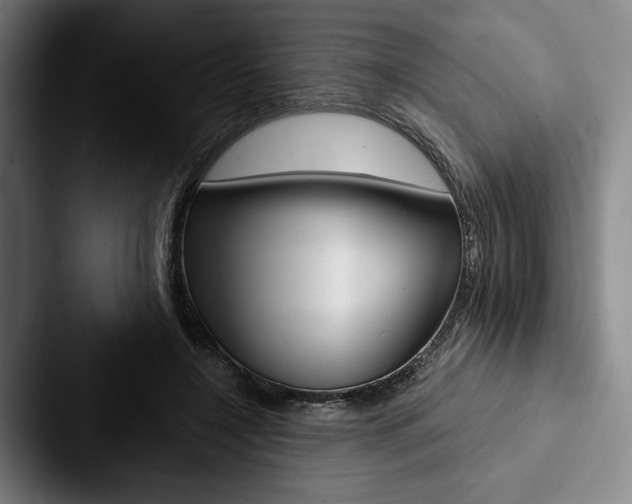 X0000088060548200705110916