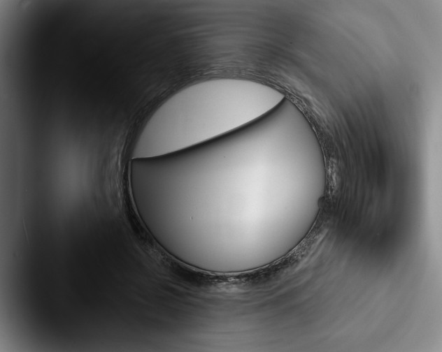 X0000088060550200705110916