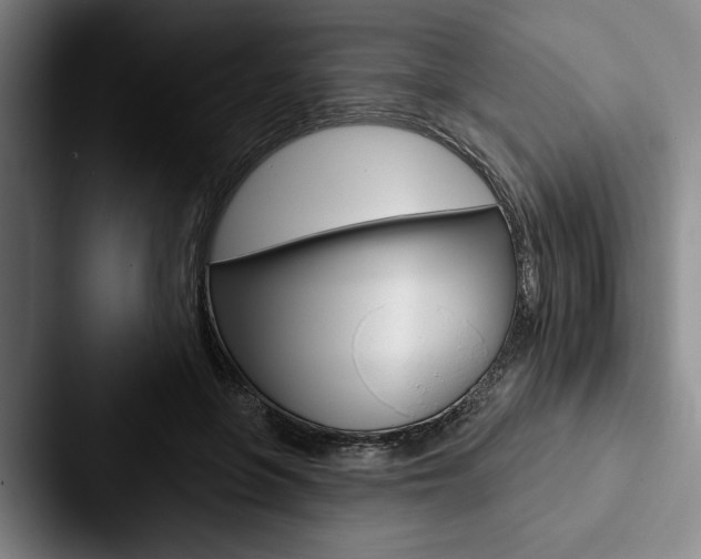 X0000088060551200705110916