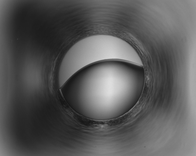 X0000088060552200705110916