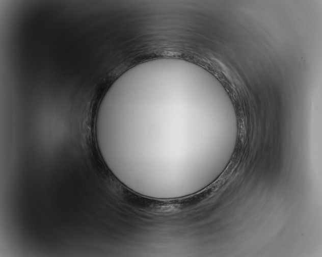 X0000088060553200705110916