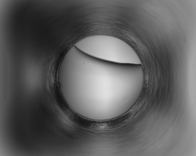 X0000088060554200705110916