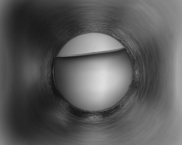 X0000088060555200705110916
