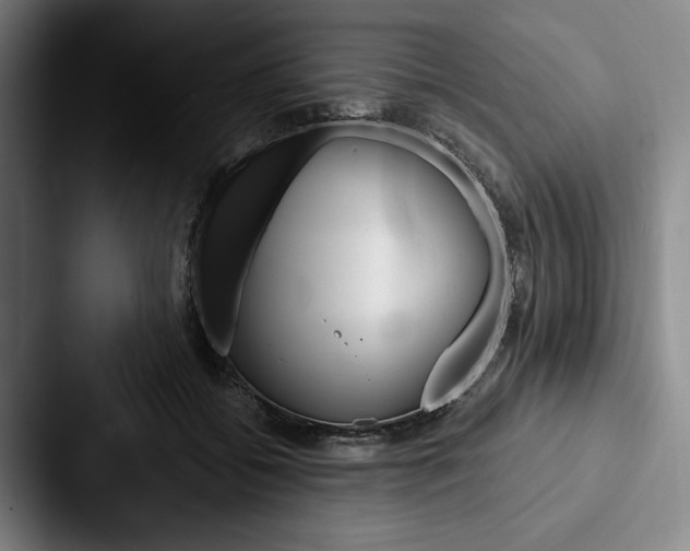 X0000088060556200705110916