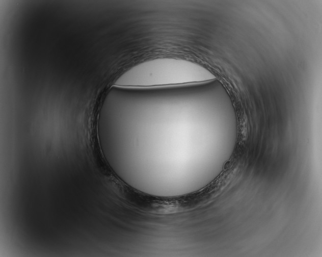 X0000088060559200705110916