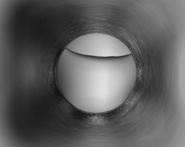 X0000088060561200705110916