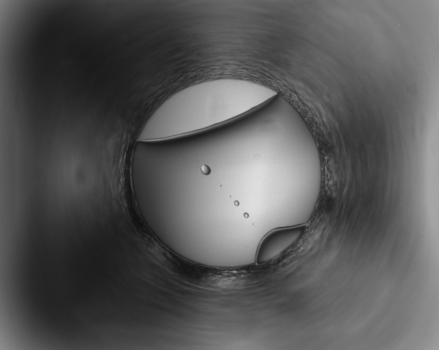 X0000088060563200705110916