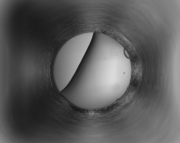 X0000088060565200705110916