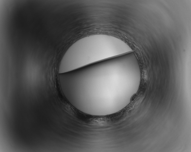 X0000088060567200705110916