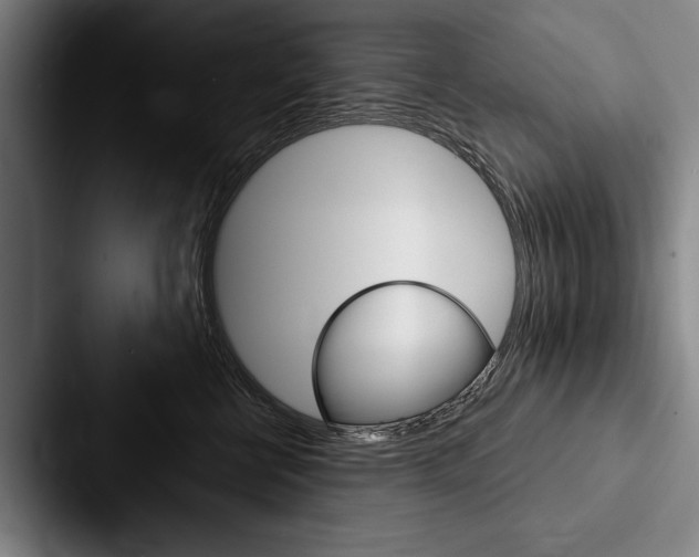 X0000088060570200705110916