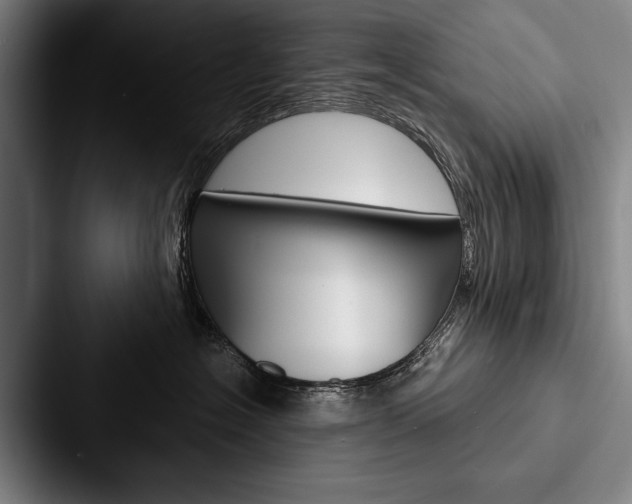X0000088060574200705110916