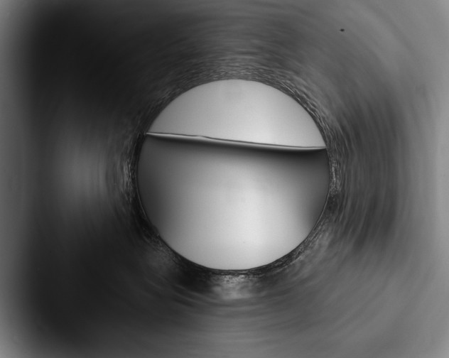 X0000088060575200705110916