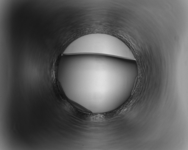 X0000088060576200705110916
