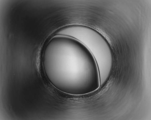X0000088060580200705110915